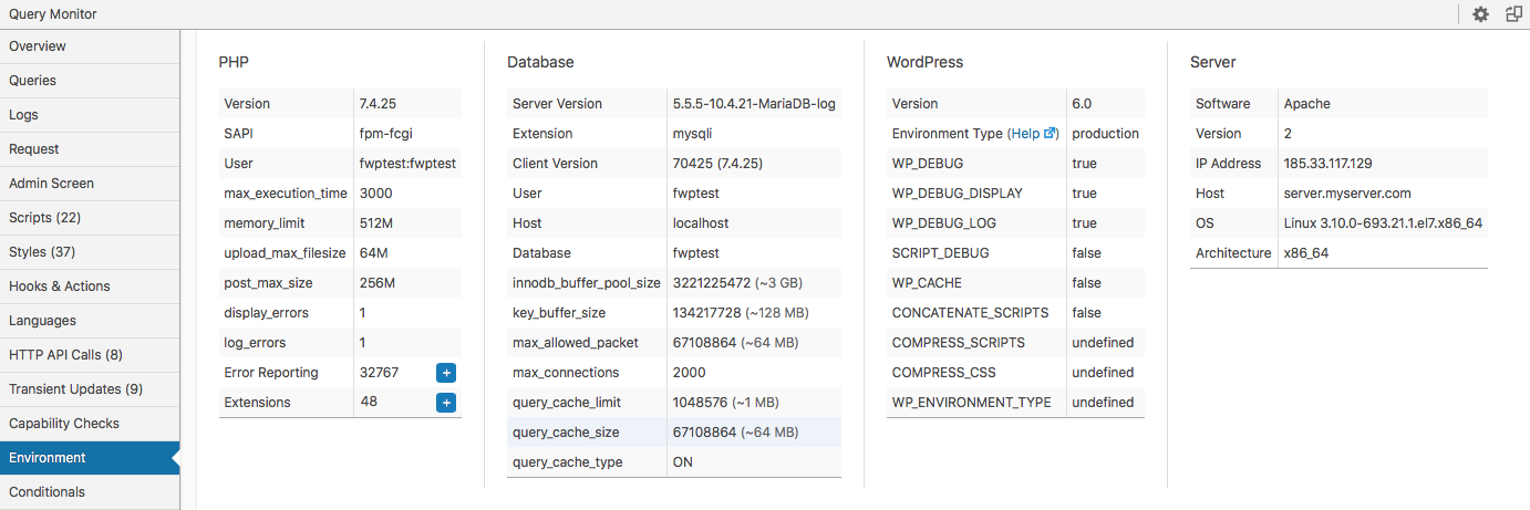 Query Monitor Environment panel