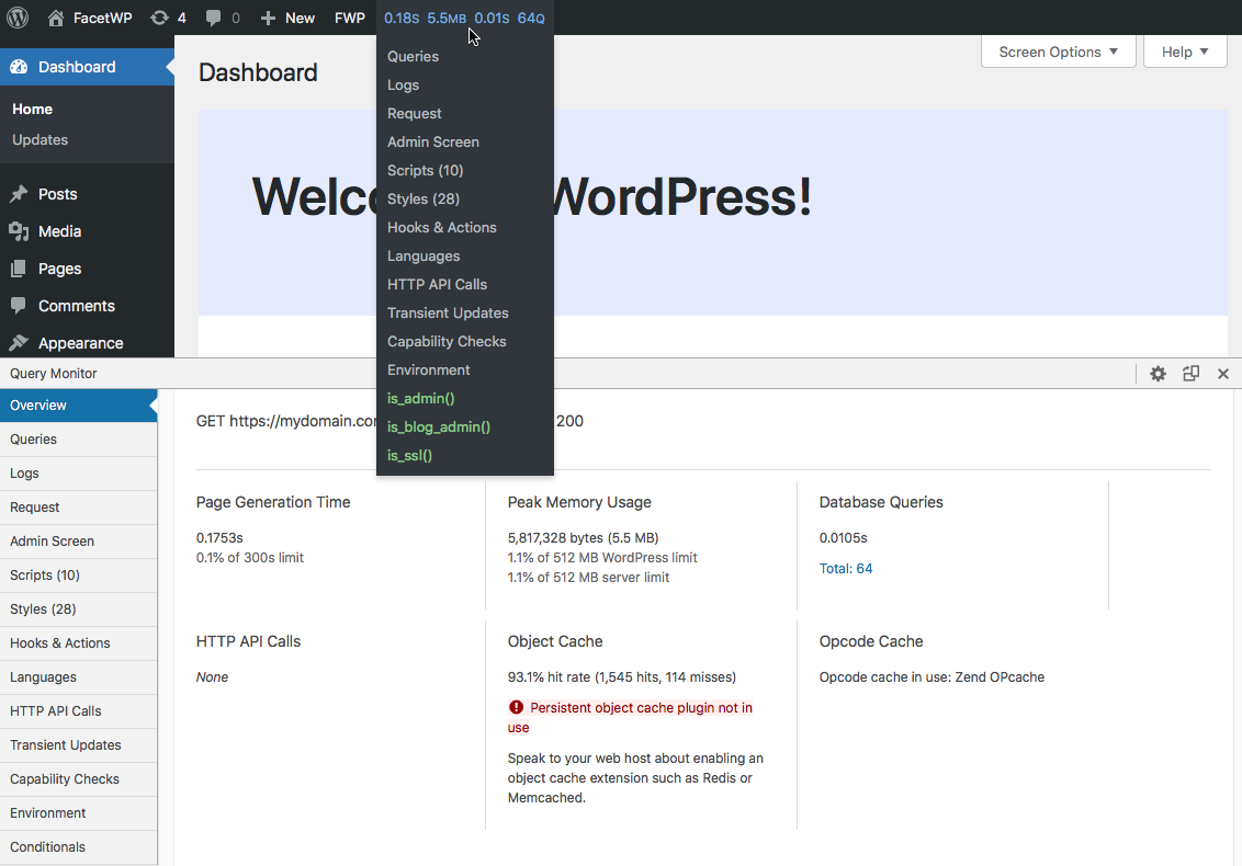 Query Monitor navigation and overview panel