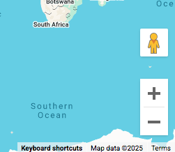 The Google Maps Zoom control.