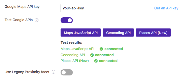 The Google Maps API key test.